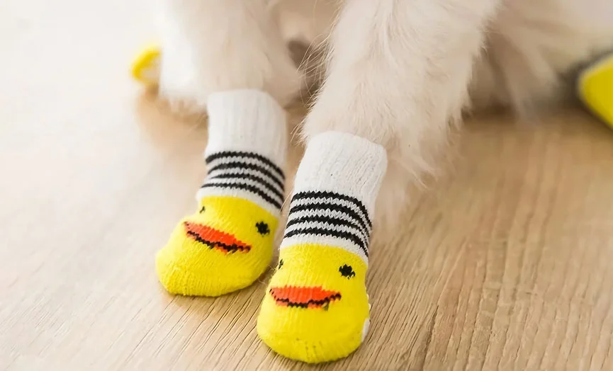 Cute Canine Footwear Socks